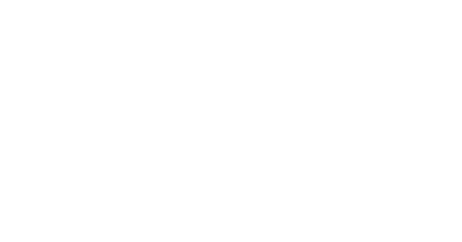 RoadRunner Auto Transport